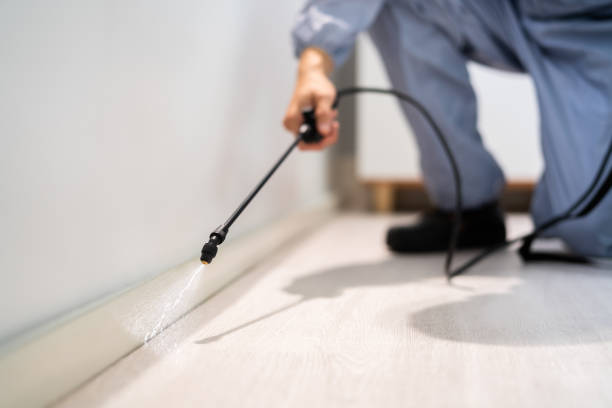 Licensed Mosquito Control service in Sharpsville, PA - Nex Pest Control