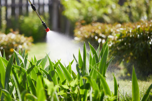 24/7 Emergency Mosquito Control experts in Sharpsville, PA