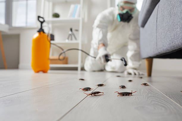 Trusted Cockroach Control service in Sharpsville, PA - Nex Pest Control
