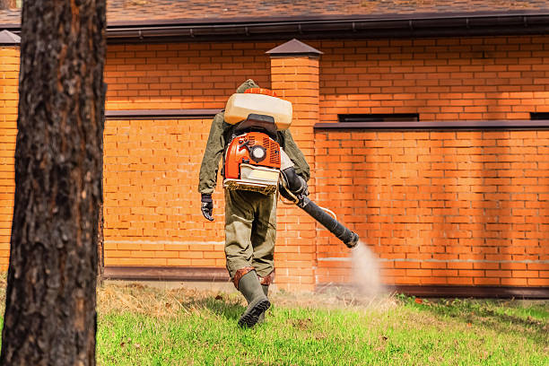 Trusted Termite Control service in Sharpsville, PA - Nex Pest Control